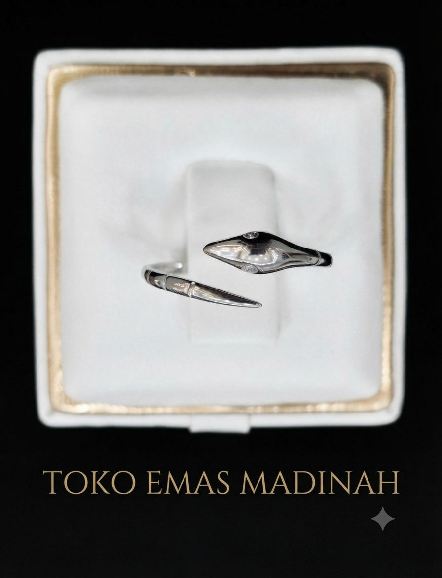 CINCIN ULAR