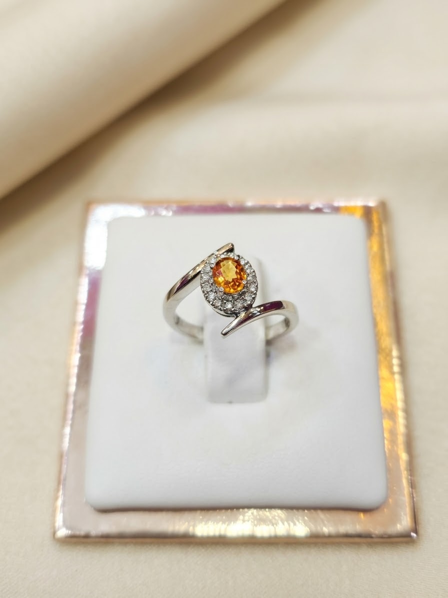 CINCIN LG PP