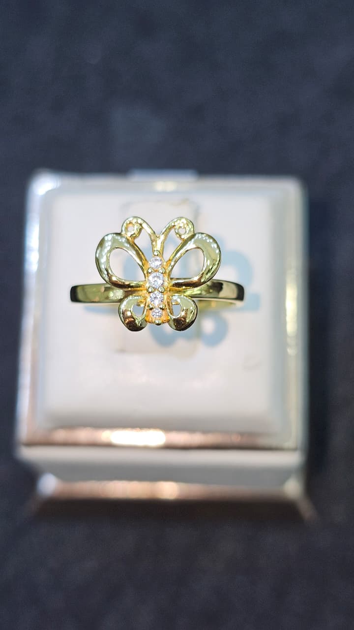 CINCIN BUTERFLY