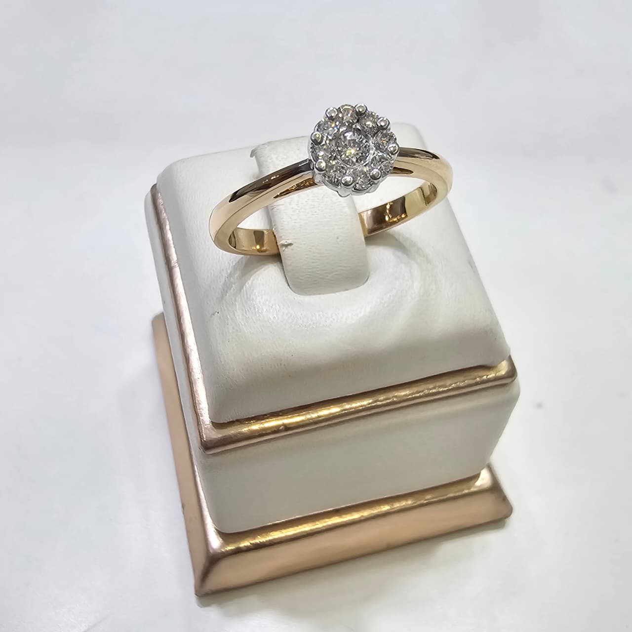 CINCIN BR LOTUS