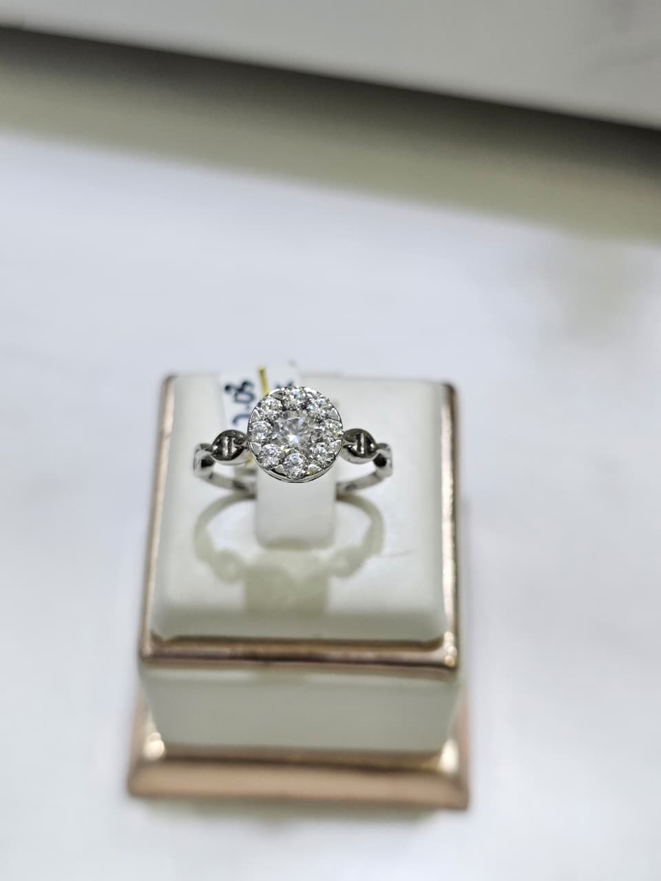 CINCIN BLT AMR