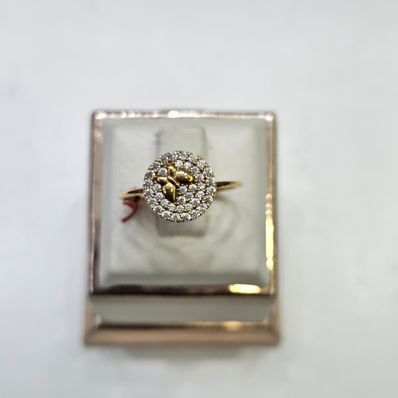 CINCIN BUTTERFLY