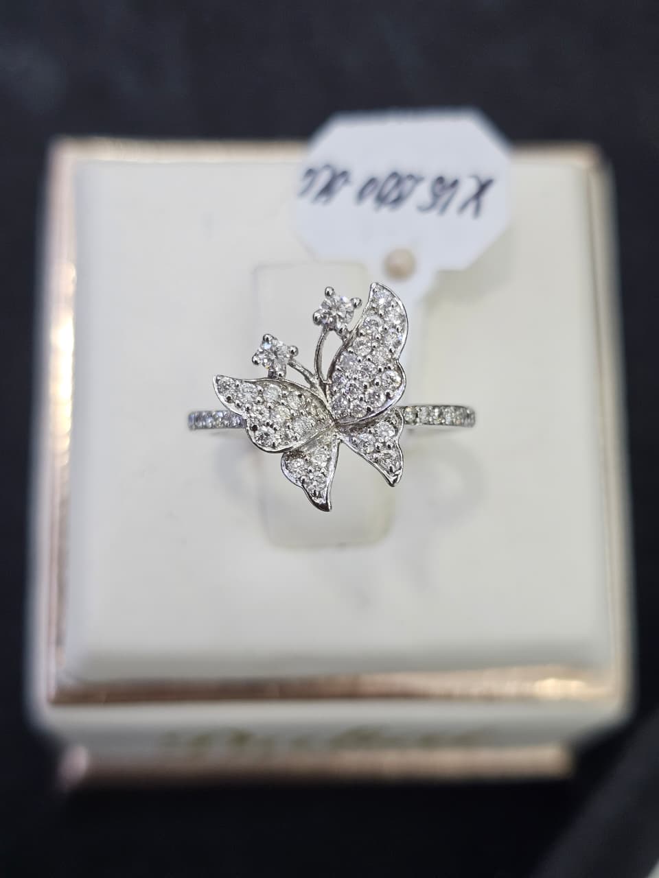 CINICN BR BUTTERFLY